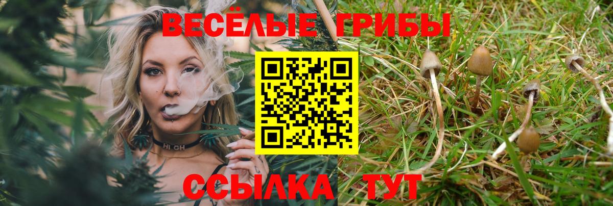 Галлюциногенные грибы прущие грибы Волжск